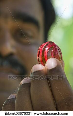 "Man holding a nutmeg with mace (Myristica fragrans) in his hand, Peermade, Kerala, India, Asia" View Large Photo Image Stock Image - "Man holding a nutmeg with mace (Myristica fragrans) in his hand, Peermade, Kerala, India, Asia". Fotosearch