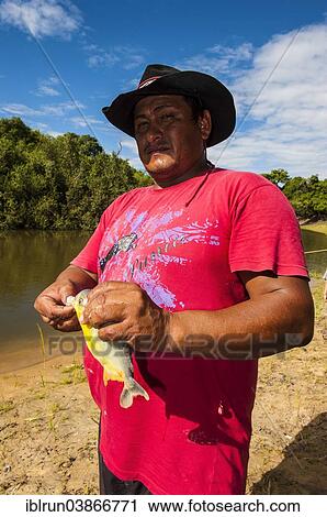 "Man holding a piranha, Pantanal, Mato Grosso do Sul, Brazil, South America" View Large Photo Image Stock Image - "Man holding a piranha, Pantanal, Mato Grosso do Sul, Brazil, South America". Fotosearch