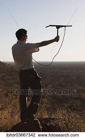 Stock Image - "Man locating a leopard with a tracking device, near the Okonjima Lodge, the seat of the AfriCat Foundation, Namibia, Africa". Fotosearch