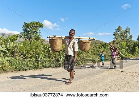 "Man of the Antandroy people carrying two baskets on a wooden pole, on a street near Fort Dauphin or Tolagnaro, Madagascar, Africa" View Large Photo Image Picture - "Man of the Antandroy people carrying two baskets on a wooden pole, on a street near Fort Dauphin or Tolagnaro, Madagascar, Africa". Fotosearch