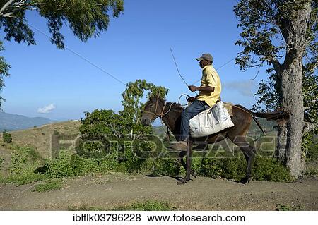 "Man riding a donkey, Leogane, Haiti, North America" View Large Photo Image Stock Photo - "Man riding a donkey, Leogane, Haiti, North America". Fotosearch