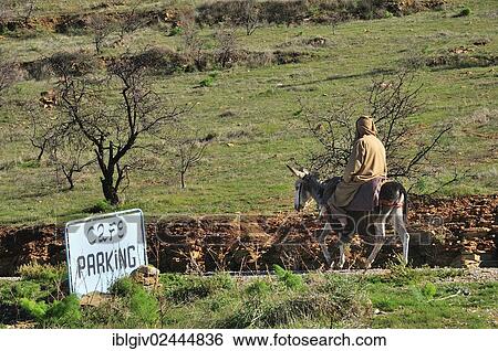"Man riding a donkey past a sign """"Cafe parking"""", Anti-Atlas, Morocco, Africa" View Large Photo Image Stock Photograph - "Man riding a donkey past a sign """"Cafe parking"""", Anti-Atlas, Morocco, Africa". Fotosearch