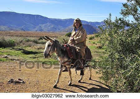 "Man riding a donkey, Souss-Massa-Draa, Antiatlas, Morocco, Africa" View Large Photo Image Stock Image - "Man riding a donkey, Souss-Massa-Draa, Antiatlas, Morocco, Africa". Fotosearch