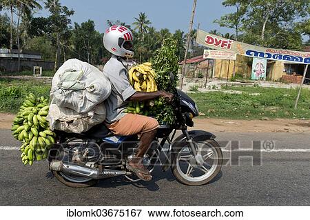 "Man riding a motorcycle laden with bananas, Kerala, India, Asia" View Large Photo Image Stock Photo - "Man riding a motorcycle laden with bananas, Kerala, India, Asia". Fotosearch