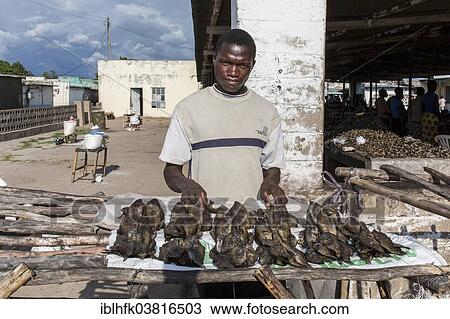 "Man selling fish at the market in Kalabo, western Zambia" View Large Photo Image Stock Image - "Man selling fish at the market in Kalabo, western Zambia". Fotosearch