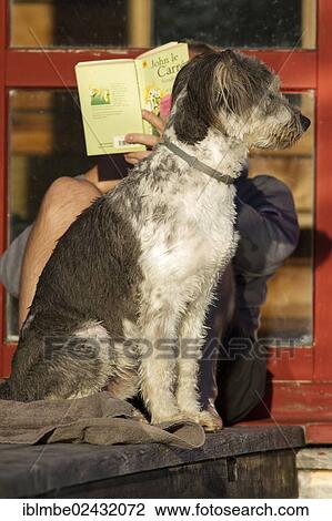 Stock Image - "Man sitting in the sun and reading a book with his watchful dog sitting in front of him, Carinthia, Austria, Europe". Fotosearch