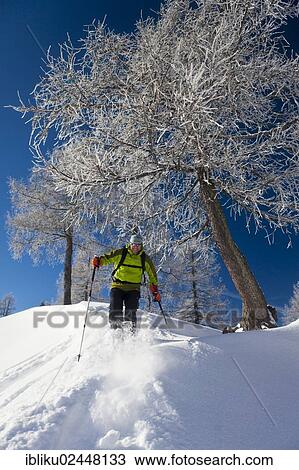 "Man snowshoeing, snowshoe tour in Berchtesgaden National Park, Berchtesgadener Land, Bavaria, Germany, Europe" View Large Photo Image Stock Image - "Man snowshoeing, snowshoe tour in Berchtesgaden National Park, Berchtesgadener Land, Bavaria, Germany, Europe". Fotosearch