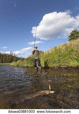"Man spin fishing for Northern Pike (Esox lucius), Caribou Lakes, head waters of the Liard River, Yukon Territory, Canada, North America" View Large Photo Image Stock Image - "Man spin fishing for Northern Pike (Esox lucius), Caribou Lakes, head waters of the Liard River, Yukon Territory, Canada, North America". Fotosearch