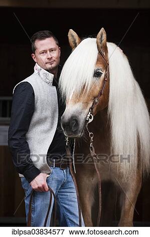 "Man standing beside a Tyrolean Haflinger, Westernzaum, North Tyrol, Austria, Europe" View Large Photo Image Stock Photo - "Man standing beside a Tyrolean Haflinger, Westernzaum, North Tyrol, Austria, Europe". Fotosearch