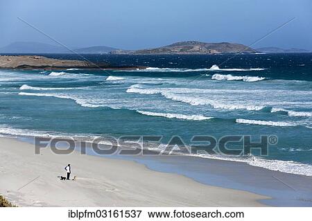 Stock Photo - "Man standing on the beach with his dogs, Esperance, Western Australia, Australia, Oceania". Fotosearch