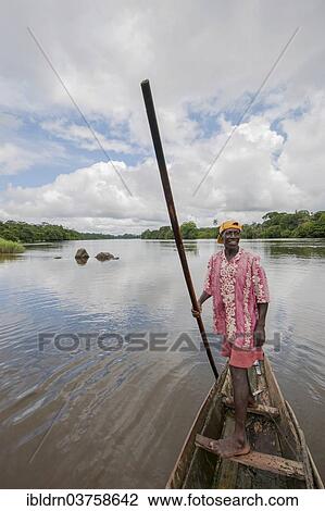 Stock Image - "Man steering a pirogue on the Moa River at Tiwai Island Wildlife Sanctuary, Tiwai Island, Southern Province, Sierra Leone, Africa". Fotosearch