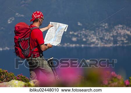 "Man studying the trail map while hiking on Monte Covreto, lake Lago Maggiore, Ticino, Switzerland, Europe" View Large Photo Image Stock Image - "Man studying the trail map while hiking on Monte Covreto, lake Lago Maggiore, Ticino, Switzerland, Europe". Fotosearch