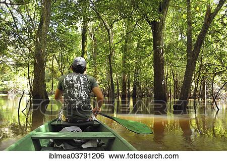 Stock Photograph - "Man travelling in a canoe on the Rio Solimoes river in the flooded Varzea-jungle, Mamiraua National Park, Manaus, Amazonas, Brazil, South America". Fotosearch