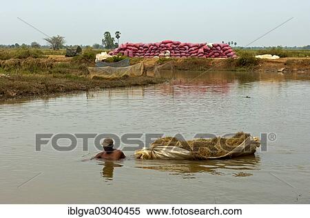 Stock Photography - "Man up to his neck in a river while transporting rice straw in a floating bag, Cambodia, Asia". Fotosearch