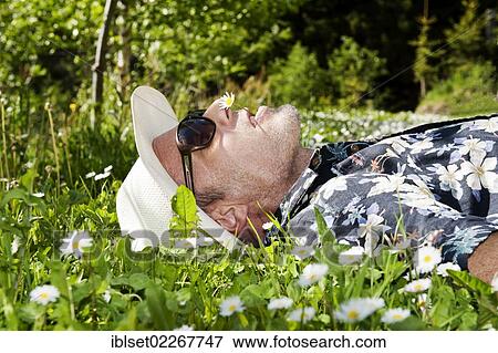 "Man wearing a straw hat, sunglasses and a Hawaiian shirt, lying in a flowering meadow, has a daisy in his mouth" View Large Photo Image Stock Photo - "Man wearing a straw hat, sunglasses and a Hawaiian shirt, lying in a flowering meadow, has a daisy in his mouth". Fotosearch