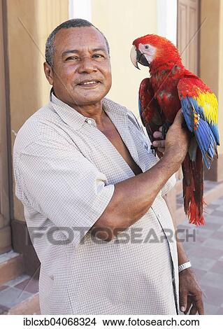 "Man with a parrot on his arm, Granada province, province of Granada, Nicaragua, North America" View Large Photo Image Picture - "Man with a parrot on his arm, Granada province, province of Granada, Nicaragua, North America". Fotosearch