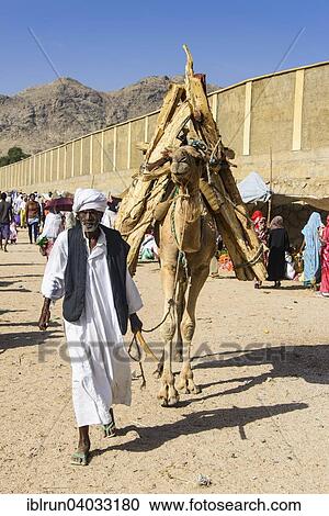 "Man with his with his camel loaded with firewood walking through the Monday market of Keren, Eritrea, Africa" View Large Photo Image Stock Image - "Man with his with his camel loaded with firewood walking through the Monday market of Keren, Eritrea, Africa". Fotosearch