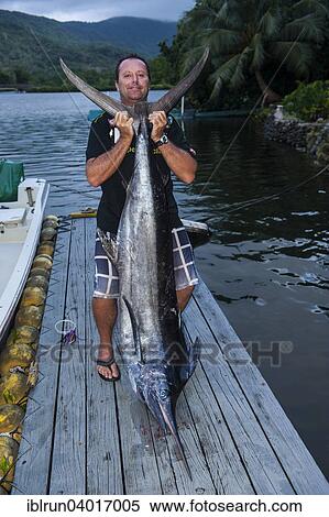 "Man with huge sword fish, Pohnpei, Micronesia, Oceania" View Large Photo Image Stock Photography - "Man with huge sword fish, Pohnpei, Micronesia, Oceania". Fotosearch