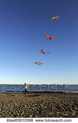 "Man with many kites on the beach, sea, blue sky, Cavallino, Jesolo, Venedig, Italy, Europe" View Large Photo Image Stock Photo - "Man with many kites on the beach, sea, blue sky, Cavallino, Jesolo, Venedig, Italy, Europe". Fotosearch