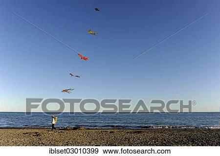 Stock Photo - "Man with many kites on the beach, sea, blue sky, Cavallino, Jesolo, Venedig, Italy, Europe". Fotosearch