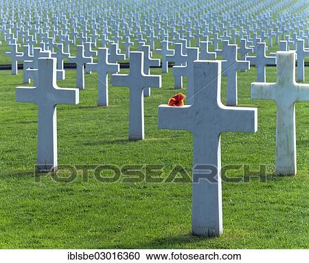 "Manila American Cemetery, Fort Bonifacio, flower on a cross, Manila, Luzon, Philippines, Asia" View Large Photo Image Stock Image - "Manila American Cemetery, Fort Bonifacio, flower on a cross, Manila, Luzon, Philippines, Asia". Fotosearch