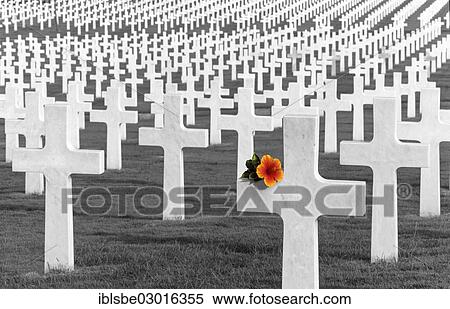 "Manila American Cemetery, Fort Bonifacio, flower on a cross, Manila, Luzon, Philippines, Asia" View Large Photo Image Stock Photography - "Manila American Cemetery, Fort Bonifacio, flower on a cross, Manila, Luzon, Philippines, Asia". Fotosearch