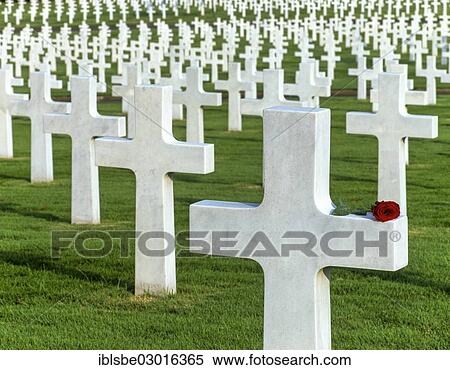 "Manila American Cemetery, Fort Bonifacio, red rose on a cross, Manila, Luzon, Philippines, Asia" View Large Photo Image Stock Photography - "Manila American Cemetery, Fort Bonifacio, red rose on a cross, Manila, Luzon, Philippines, Asia". Fotosearch