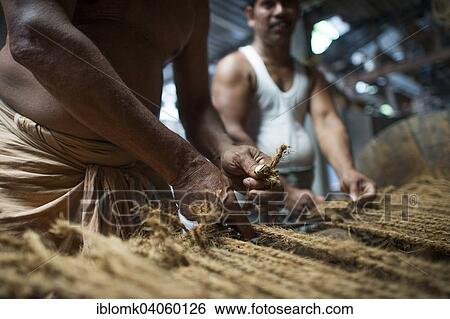 "Manufacture of mats from coconut fibres or coir, coconut fibre industry, factory, Alappuzha, Kerala, India, Asia" View Large Photo Image Stock Photograph - "Manufacture of mats from coconut fibres or coir, coconut fibre industry, factory, Alappuzha, Kerala, India, Asia". Fotosearch