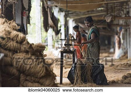 "Manufacture of ropes from coconut fibers or coir on wooden machines, coconut fibre industry, factory, Alappuzha, Kerala, India, Asia" View Large Photo Image Stock Photography - "Manufacture of ropes from coconut fibers or coir on wooden machines, coconut fibre industry, factory, Alappuzha, Kerala, India, Asia". Fotosearch
