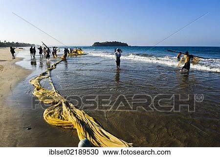 "Many fishermen with fishing nets on the Bay of Bengal, Ngwe Saung Beach, Myanmar, Burma, Southeast Asia, Asia" View Large Photo Image Stock Image - "Many fishermen with fishing nets on the Bay of Bengal, Ngwe Saung Beach, Myanmar, Burma, Southeast Asia, Asia". Fotosearch