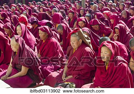 "Many nuns wearing red cloths listening the teachings of Taklung Tsetru Rinpoche in the backyard of Junbesi Gompa, Junbesi, Solukhumbu District, Sagarmatha Zone, Nepal, Asia" View Large Photo Image Stock Image - "Many nuns wearing red cloths listening the teachings of Taklung Tsetru Rinpoche in the backyard of Junbesi Gompa, Junbesi, Solukhumbu District, Sagarmatha Zone, Nepal, Asia". Fotosearch