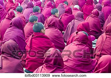 "Many nuns wearing red cloths listening the teachings of Taklung Tsetru Rinpoche in the backyard of Junbesi Gompa, Junbesi, Solukhumbu District, Sagarmatha Zone, Nepal, Asia" View Large Photo Image Stock Photo - "Many nuns wearing red cloths listening the teachings of Taklung Tsetru Rinpoche in the backyard of Junbesi Gompa, Junbesi, Solukhumbu District, Sagarmatha Zone, Nepal, Asia". Fotosearch