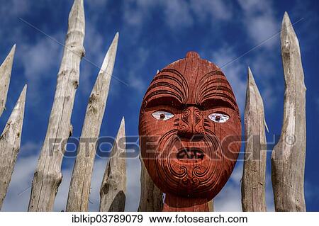 "Maori carving, Hamilton Gardens, Hamilton, Waikato region, New Zealand, Oceania" View Large Photo Image Stock Photo - "Maori carving, Hamilton Gardens, Hamilton, Waikato region, New Zealand, Oceania". Fotosearch