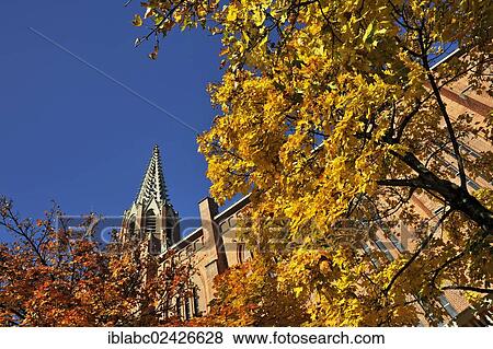 "Mariahilf Church with a Maple (Acer) with autumn leaves, Munich, Bavaria, Germany, Europe" View Large Photo Image Stock Photo - "Mariahilf Church with a Maple (Acer) with autumn leaves, Munich, Bavaria, Germany, Europe". Fotosearch