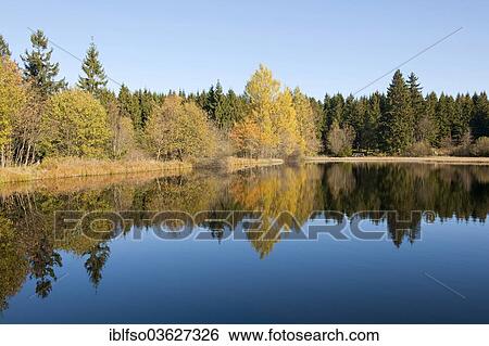 "Marienteich or Mary's Pond, Harz National Park, Saxony-Anhalt, Germany, Europe" View Large Photo Image Stock Photograph - "Marienteich or Mary's Pond, Harz National Park, Saxony-Anhalt, Germany, Europe". Fotosearch
