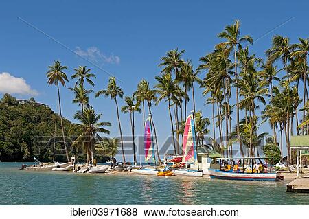 "Marigot Bay, Castries, Saint Lucia, Caribbean, North America" View Large Photo Image Stock Photo - "Marigot Bay, Castries, Saint Lucia, Caribbean, North America". Fotosearch