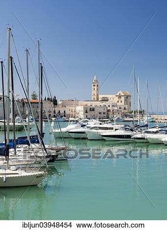 "Marina and Trani Cathedral, 11th century, Trani, Bari Province, Apulia, Italy, Europe" View Large Photo Image Picture - "Marina and Trani Cathedral, 11th century, Trani, Bari Province, Apulia, Italy, Europe". Fotosearch