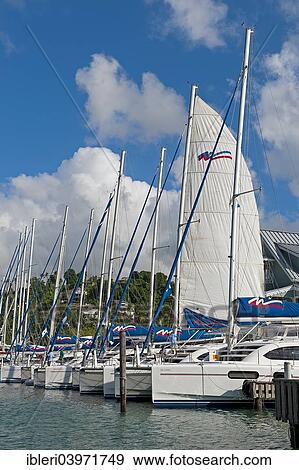 "Marina, Marigot Bay, Castries, Saint Lucia, North America" View Large Photo Image Stock Photo - "Marina, Marigot Bay, Castries, Saint Lucia, North America". Fotosearch
