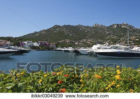 "Marina, Porto Cervo, Costa Smeralda, Sardinia, Italy, Europe" View Large Photo Image Stock Photo - "Marina, Porto Cervo, Costa Smeralda, Sardinia, Italy, Europe". Fotosearch