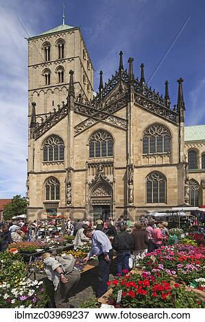 "Market day in Domplatz square, at the back Munster Cathedral, St. -Paulus-Dom, 14th century, Munster, Munsterland, North Rhine-Westphalia, Germany, Europe" View Large Photo Image Stock Photo - "Market day in Domplatz square, at the back Munster Cathedral, St. -Paulus-Dom, 14th century, Munster, Munsterland, North Rhine-Westphalia, Germany, Europe". Fotosearch