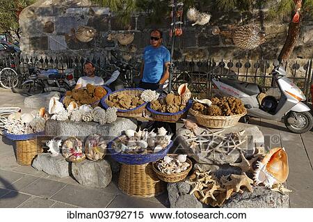 "Market stall selling sponges, corals and shells, Bodrum, Mugla Province, Aegean, Turkey, Asia" View Large Photo Image Stock Photography - "Market stall selling sponges, corals and shells, Bodrum, Mugla Province, Aegean, Turkey, Asia". Fotosearch
