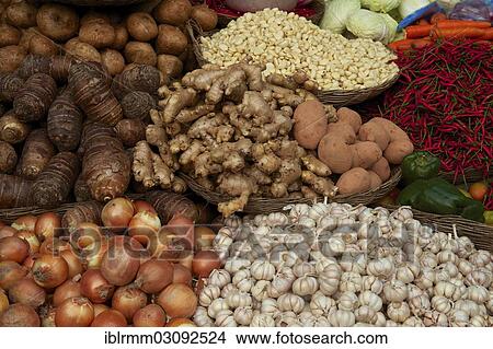 "Market stall with onions, garlic, ginger, chili peppers, Siem Reap, Siem Reap, Siem Reap Province, Cambodia, Asia" View Large Photo Image Picture - "Market stall with onions, garlic, ginger, chili peppers, Siem Reap, Siem Reap, Siem Reap Province, Cambodia, Asia". Fotosearch