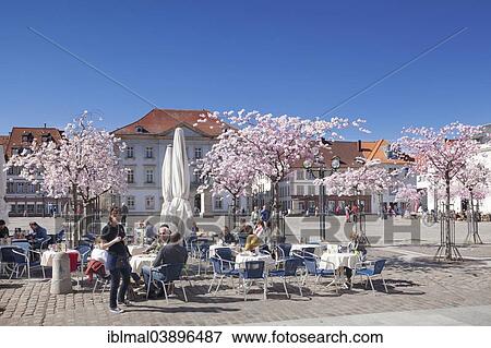 Stock Photo - "Marktplatz square and Town Hall, blossoming cherry trees, Landau, German Wine Route, Rhineland-Palatinate, Germany, Europe". Fotosearch