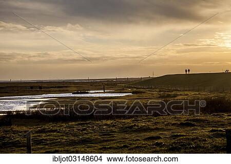 Picture - "Marsh landscape in winter, Spiekeroog, East Frisian Islands, East Frisia, Lower Saxony, Germany, Europe". Fotosearch