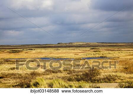 "Marsh landscape in winter, Spiekeroog, East Frisian Islands, East Frisia, Lower Saxony, Germany, Europe" View Large Photo Image Stock Photo - "Marsh landscape in winter, Spiekeroog, East Frisian Islands, East Frisia, Lower Saxony, Germany, Europe". Fotosearch
