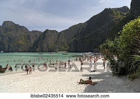"Mass tourism on the sandy beach of Maya Beach, Ko Phi Phi Island, Phuket, Thailand, Asia" View Large Photo Image Picture - "Mass tourism on the sandy beach of Maya Beach, Ko Phi Phi Island, Phuket, Thailand, Asia". Fotosearch