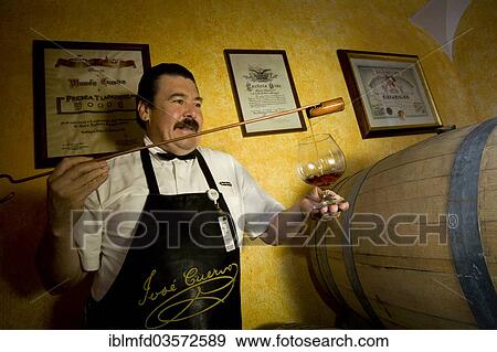 "Master distiller checking the quality, Jose Cuervo Tequila Distillery, Tequila, Jalisco, Mexico, North America" View Large Photo Image Stock Photo - "Master distiller checking the quality, Jose Cuervo Tequila Distillery, Tequila, Jalisco, Mexico, North America". Fotosearch
