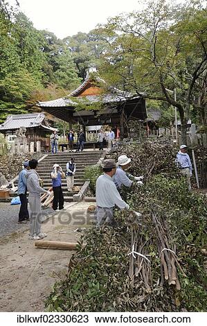 "Matsuri in autumn, Shinto shrine festival, where huge torches are lit, here torches are being built, branches are being placed onto the stems, Iwakura near Kyoto, Japan, East Asia, Asia" View Large Photo Image Stock Image - "Matsuri in autumn, Shinto shrine festival, where huge torches are lit, here torches are being built, branches are being placed onto the stems, Iwakura near Kyoto, Japan, East Asia, Asia". Fotosearch
