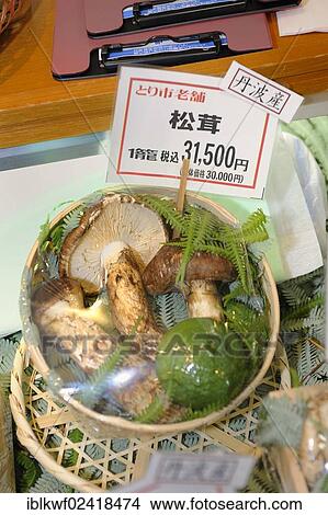 Matsutake, the most expensive edible mushroom, here offered wrapped as a gift in a deli, Kyoto, Japan, East Asia, Asia View Large Photo Image Picture - Matsutake, the most expensive edible mushroom, here offered wrapped as a gift in a deli, Kyoto, Japan, East Asia, Asia. Fotosearch