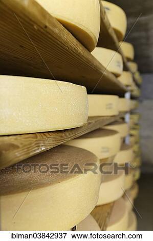 "Maturation cellar for Alpine cheese, Alpine dairy, Alpe Obere Falz alp near Schetteregg, Egg, Bregenz Forest, Vorarlberg, Austria, Europe" View Large Photo Image Stock Photo - "Maturation cellar for Alpine cheese, Alpine dairy, Alpe Obere Falz alp near Schetteregg, Egg, Bregenz Forest, Vorarlberg, Austria, Europe". Fotosearch